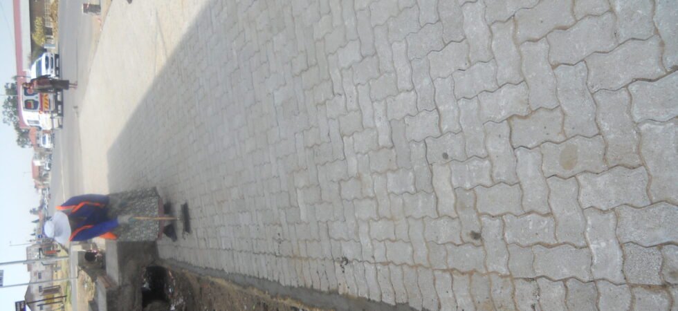 DSCN0134